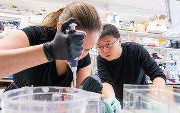 MIT graduate student Silvana Konermann and Feng Zhang in his lab